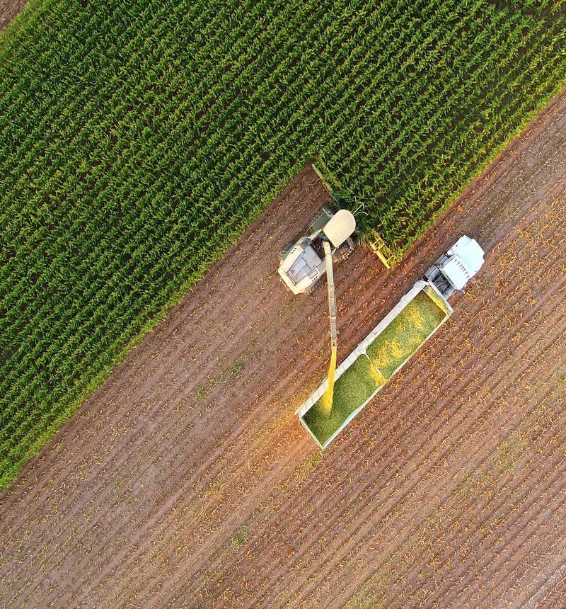 Aerial image of crop harvest