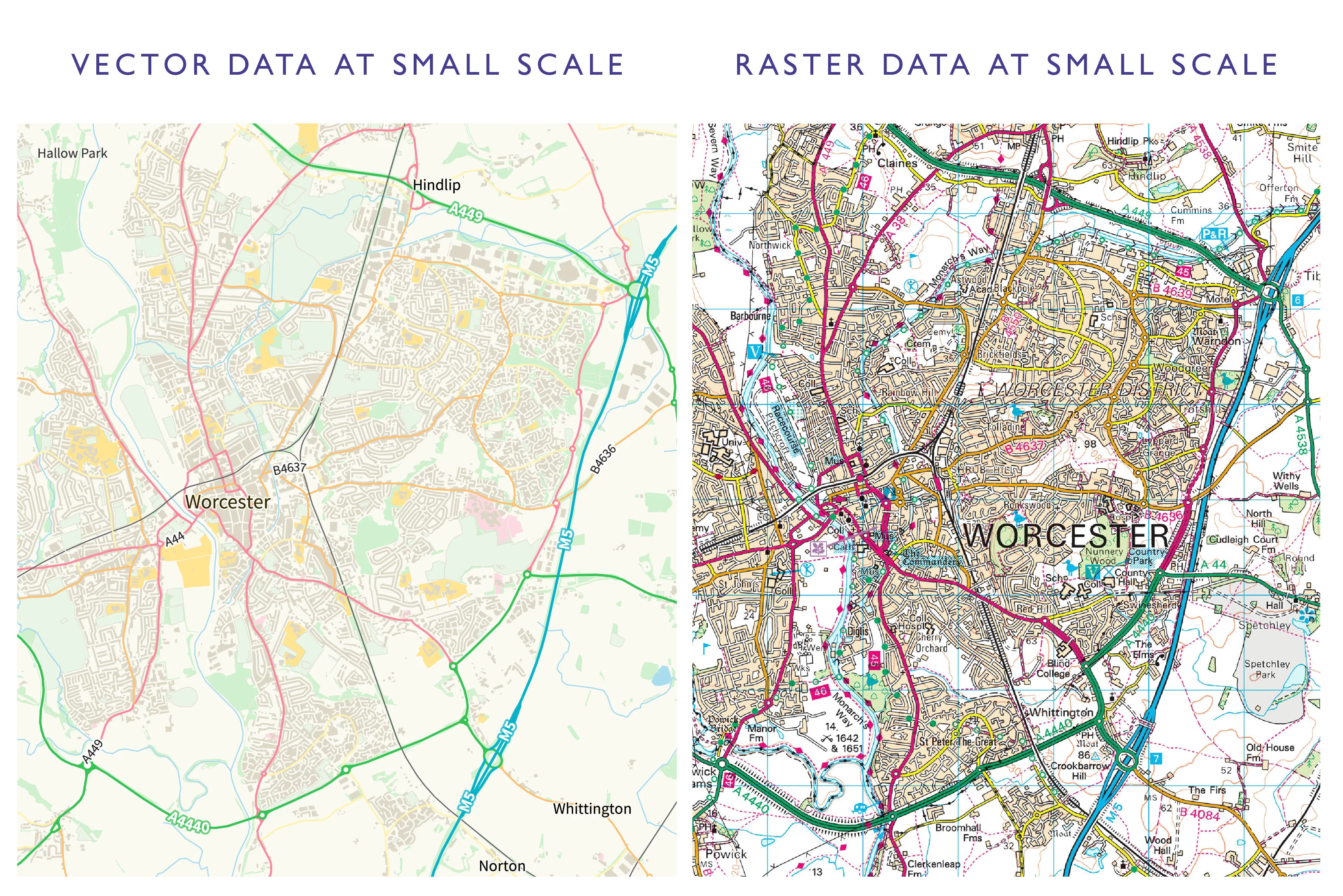 Image showing vector and raster data at small scale. Differences detailed in Raster data text